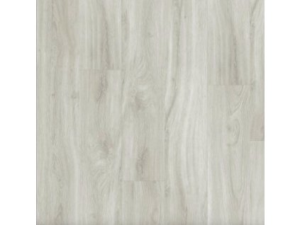 14146 1 Dub Popelavý