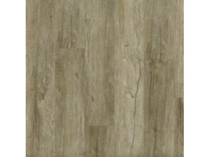 14155 1 Dub Venkovský