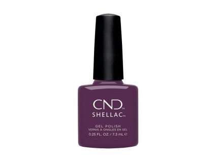145 Verbena Velvet