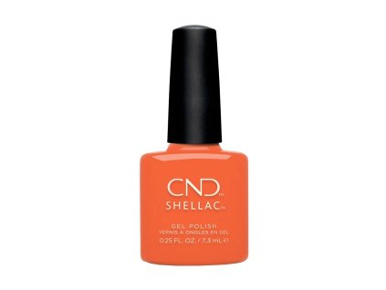 15 cnd b day candle