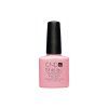 7 1 cnd shellac uv color blush teddy