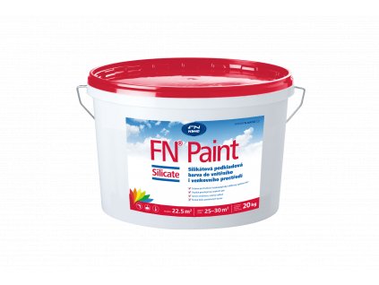 FN Paint Silicate 20kg CZ