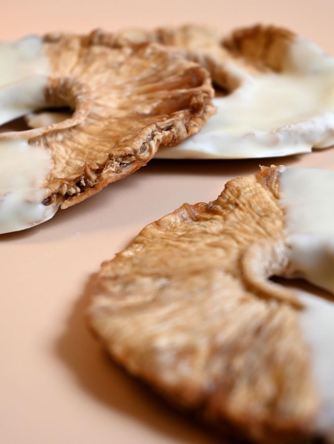 Sušené ovoce plné šťávy díky šetrnému sušení. K tomu jemná belgická čokoláda, která vytváří neodolatelný chuťový kontrast....