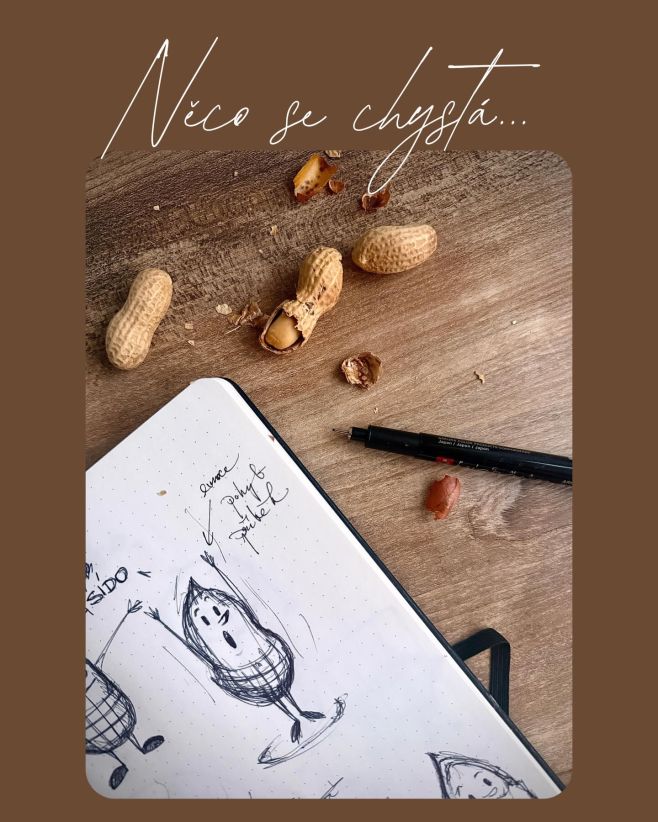 Právě teď pracujeme na novém projektu, který má vlastní charakter a hlavně osobitý příběh. Na papíře prozatím vzniká...