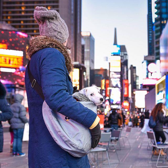 alica-amromeka-times-square-usa