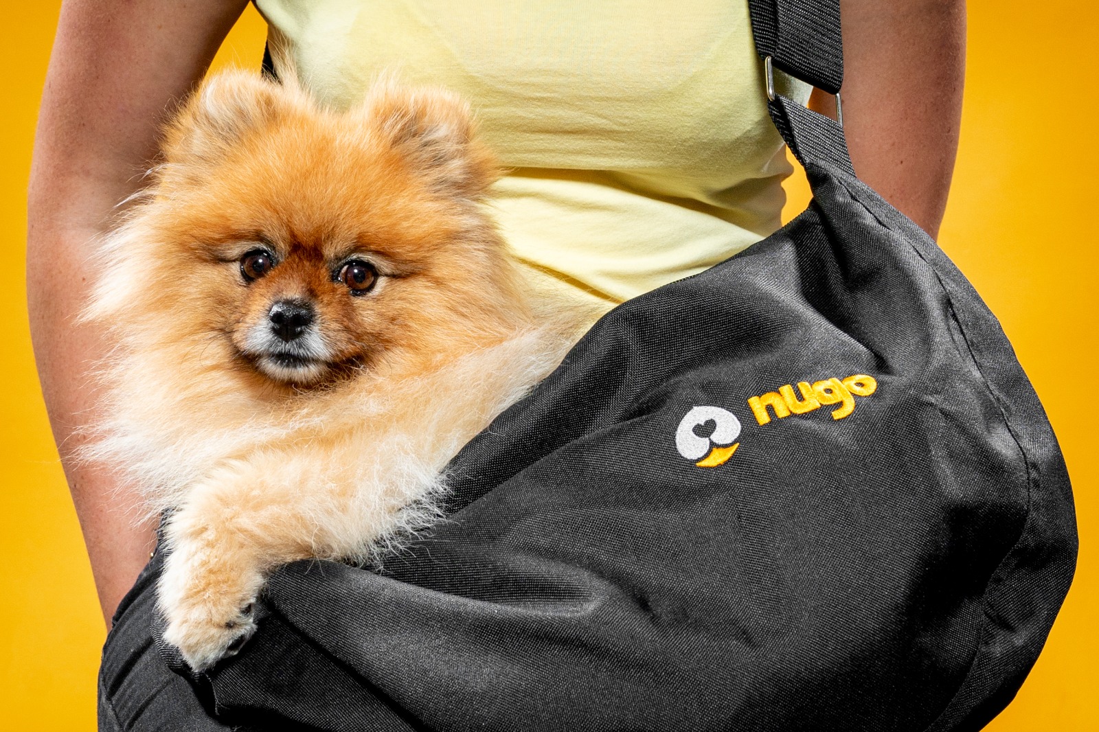 nugo-tasky-pro-male-pejsky-pomeranian