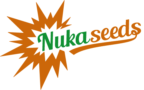 Můj e-shop