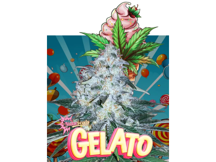 Gelato (Balení semínek 10)