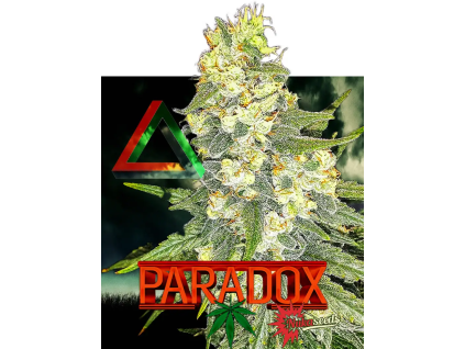 Paradox (Balení semínek 10)