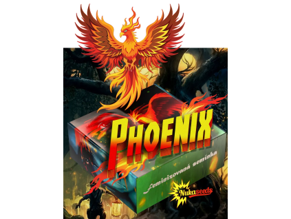 Fénix CBD (Balení semínek 10)