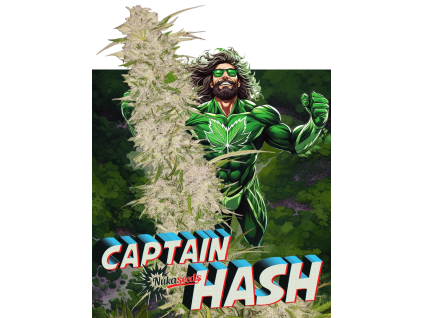 Captain Hash (Balení semínek 10)