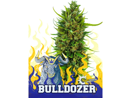 Bulldozer (Balení semínek 10)