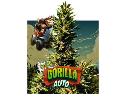 Gorilla Auto (Balení semínek 10)