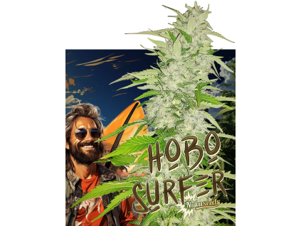 Hobo Surfer (Balení semínek 10)