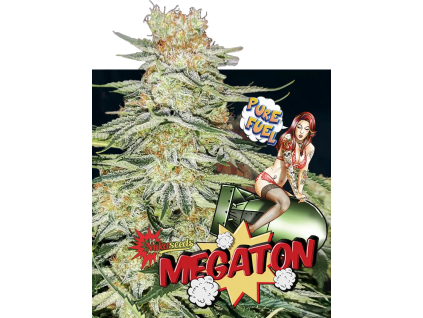 Megaton (Balení semínek 10)