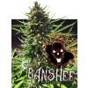 Banshee (Balení semínek 10)