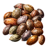 Assorted Mix Fem (Balení semínek 10)