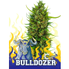 Bulldozer (Balení semínek 10)