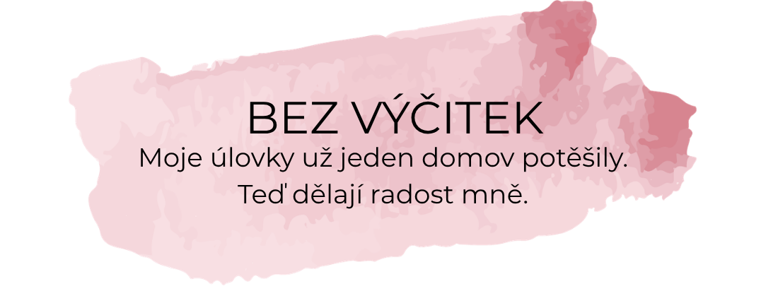 bez výčitek
