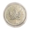Stříbrný 5 Dollars – Maple leaf, 1989 Kanada