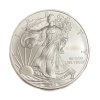 Stříbrný 1 Dollar – American Silver Eagle, 2010 USA