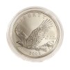Stříbrný 1 Dollar – Bald Eagle, 2008 P USA