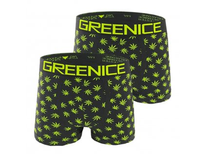 Bezešvé boxerky Greenice Art: 4737 ( 2 ks v balení )