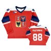 Dětský hokejový dres - Pastrňák 88 ( V)
