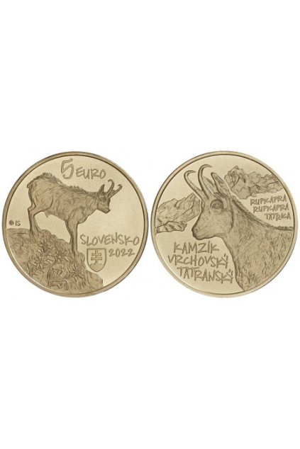 kamzik reverz scaled