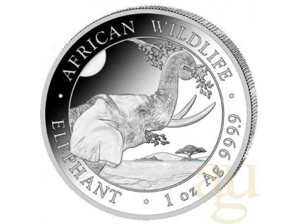 1oz Silbermuenze Somalia Elefant 2023 vs1 600x600