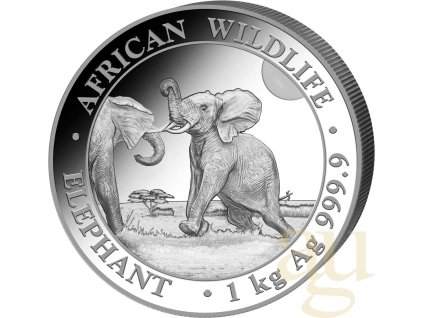 71601062024 20 1kg Ag African Wildlife Elephant VS