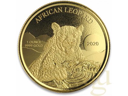 1 unce zlatá mince Afrika Ghana Leopard 2020 - leštěná deska