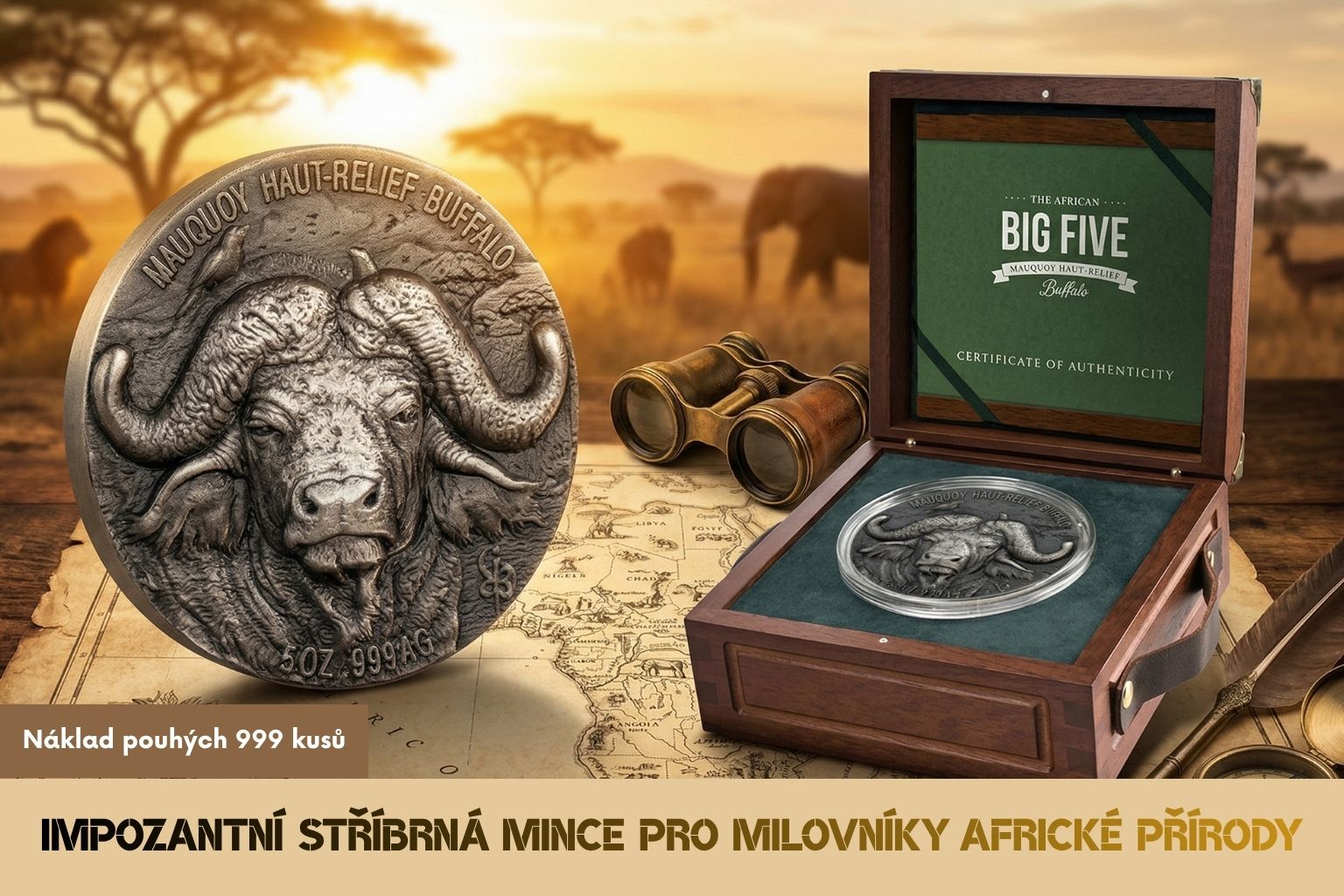 Stříbrná mince 5 Oz BUFFALO