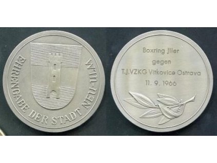 Ehrengabe der Stadt Neu-Ulm. Boxing Iller gegen TJ VZKG Vitkovice Ostrava. 1966.