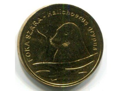 kkk528