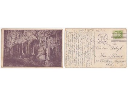 Macocha. Kateřínská jeskyně. Krápníkový lesík. 1923