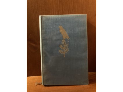 A1493E4D FF4F 4F48 A58C 81C2D8EB1136