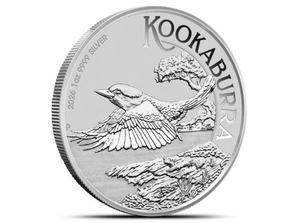 Snímek obrazovky 2026 02 12 135143