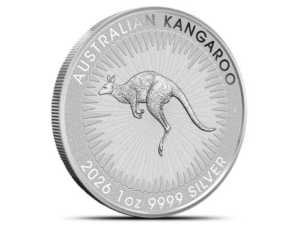 Snímek obrazovky 2026 02 12 141603