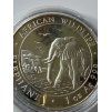 Somálsko. 100 shillings 2010. Slon. 1 oz.