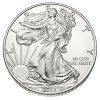 stribrna mince 1 oz american eagle 2013