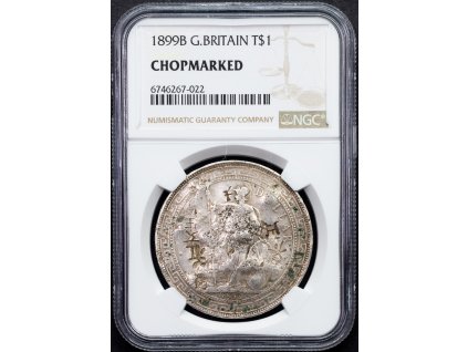 1 Dollar 1899-NGC-389-1