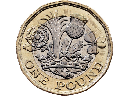 1 Pound 2016-E-11760-1