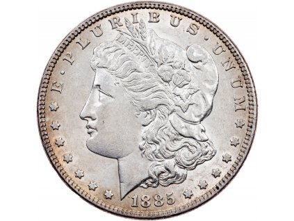 Morgan Dollar 1885-E-10790-1