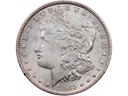 Morgan Dollar 1885-E-10799-1