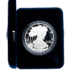 8526 2 american eagle 2005 w proof 31 1g ag 999 9 1000