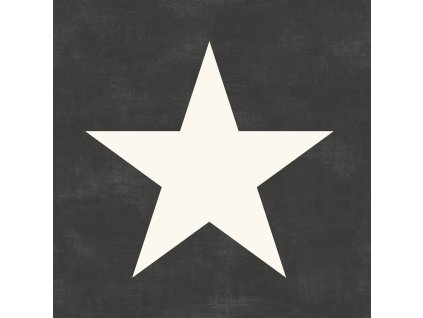 Tapeta Big Star black and white