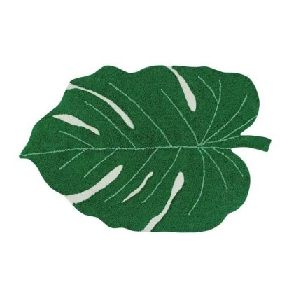 C MONSTERA GREEN