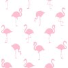 Tapeta Flamingos pink and white
