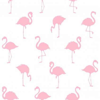 Tapeta Flamingos pink and white